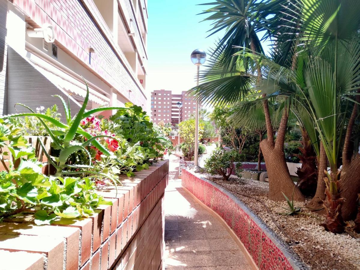 Acv - Playa Coral I-2ª Linea Planta 3 Norte أوروبيسا ذيل مار المظهر الخارجي الصورة